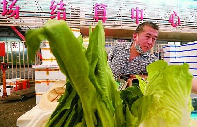 上海精準對接銷售云南扶貧農產品，微生物肥料助力農戶解燃眉之急